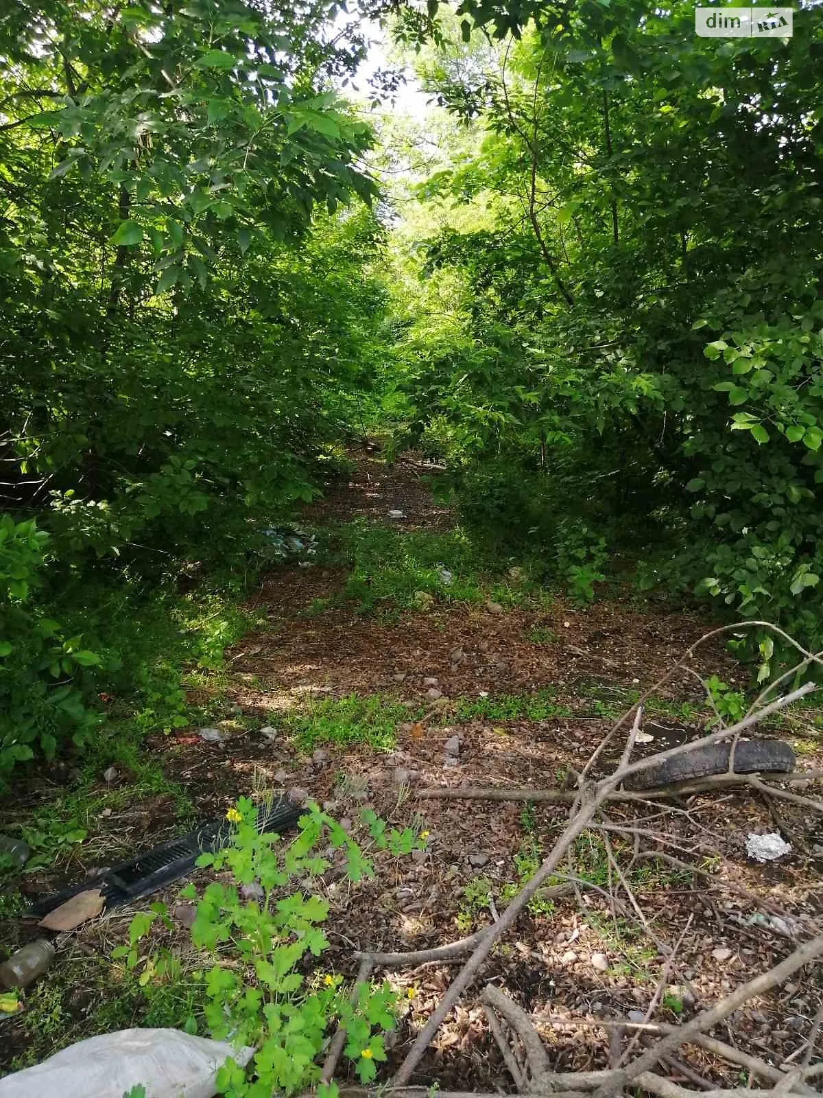 Сдается в аренду земельный участок 0.4651 соток в Кировоградской области, цена: 16984 грн - фото 1