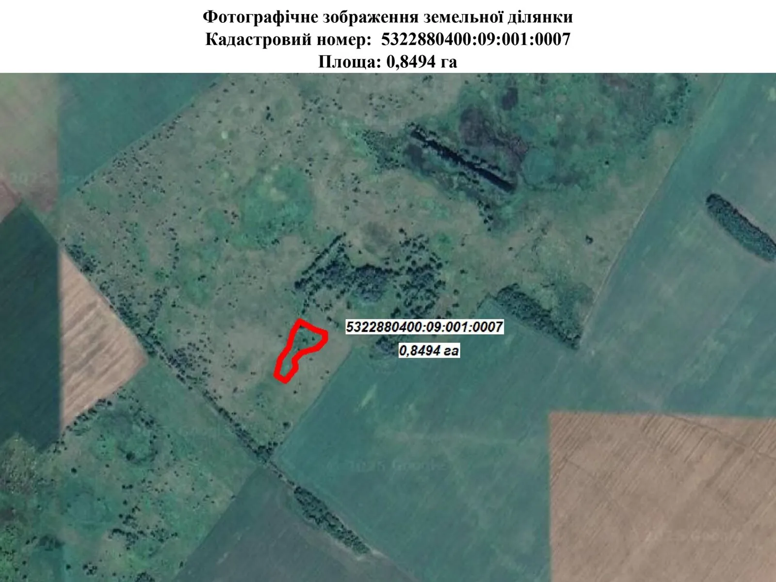 Сдается в аренду земельный участок 0.8494 соток в Полтавской области, цена: 4265 грн - фото 1