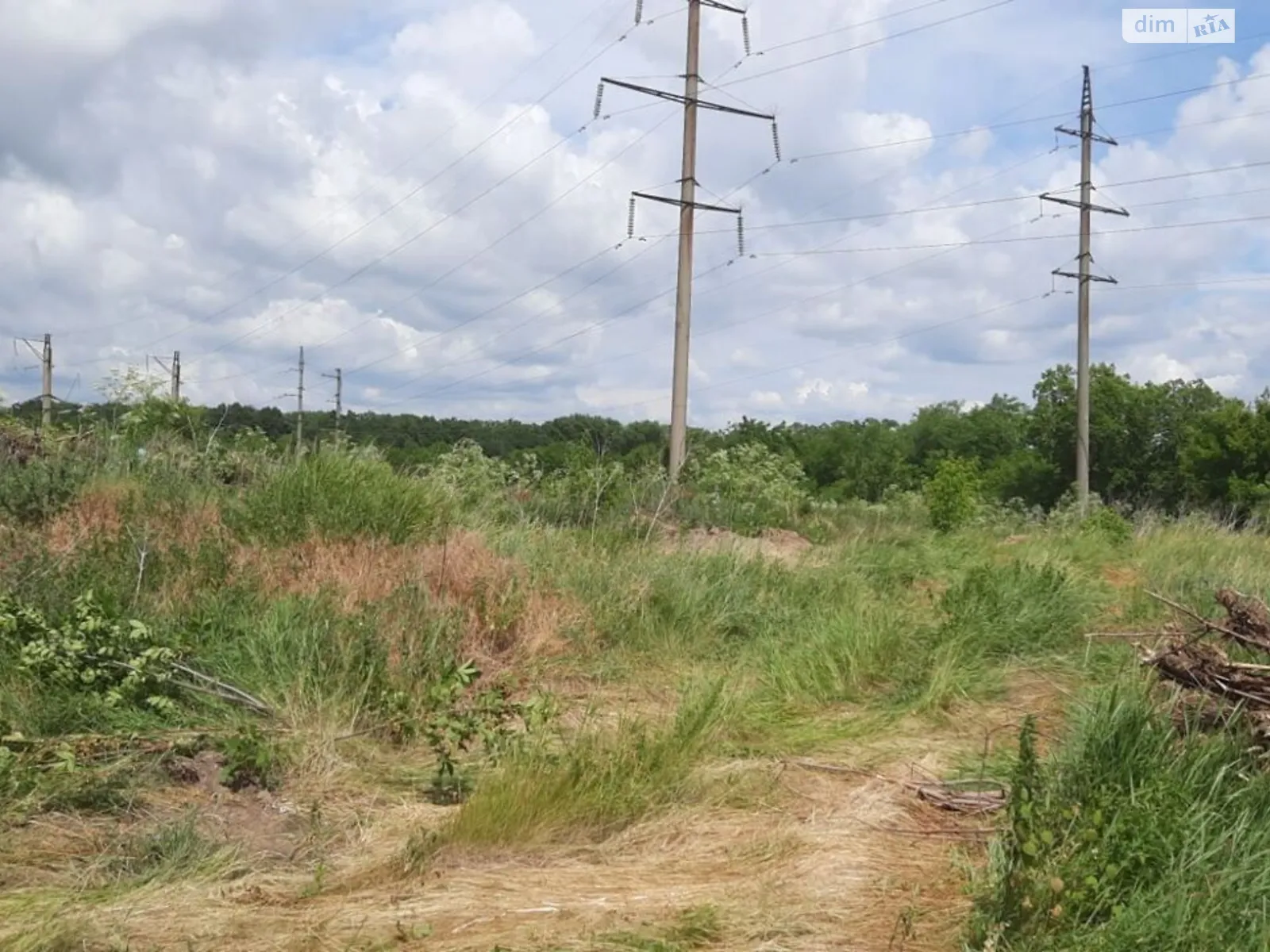Сдается в аренду земельный участок 1.8348 соток в Кировоградской области, цена: 67005 грн - фото 1