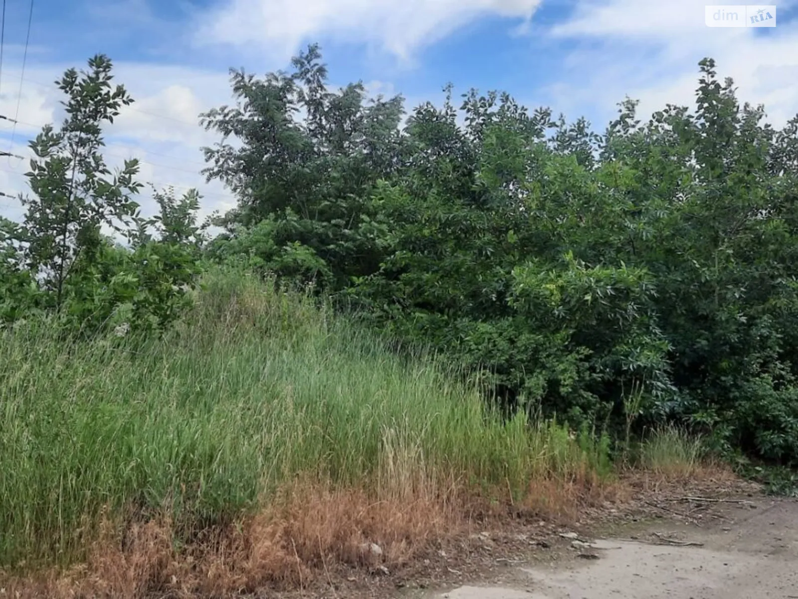 Сдается в аренду земельный участок 2.5411 соток в Кировоградской области, цена: 92798 грн - фото 1