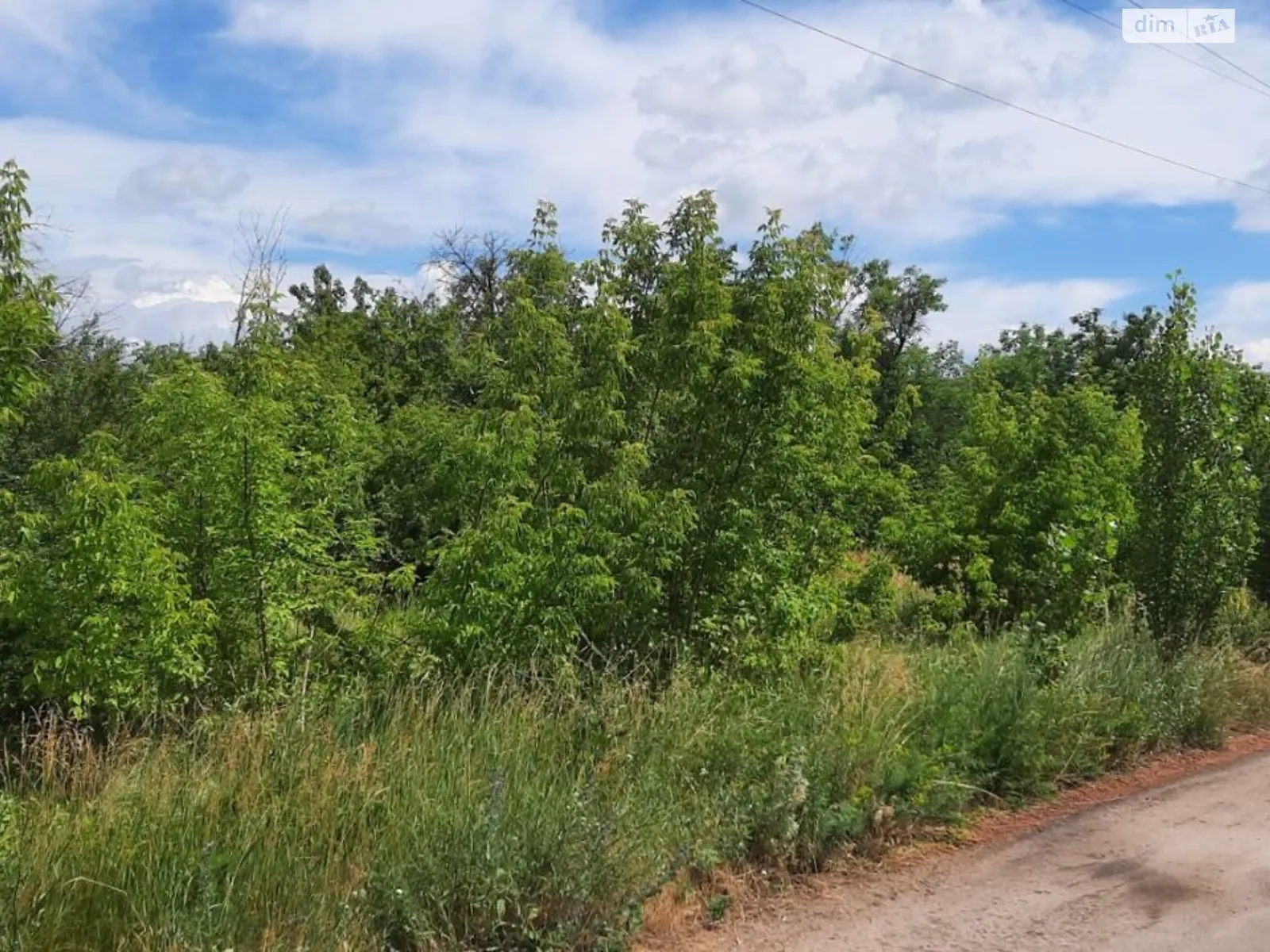 Сдается в аренду земельный участок 8.356 соток в Кировоградской области, цена: 350925 грн - фото 1