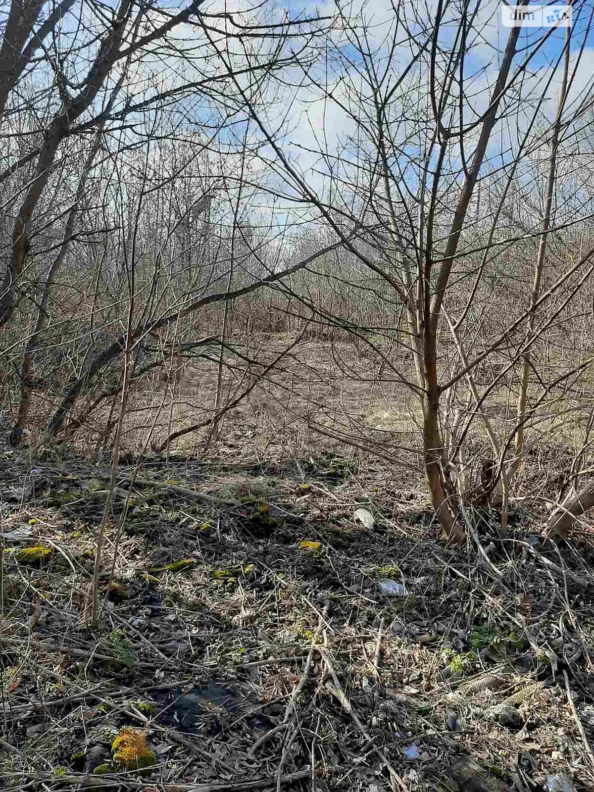 Сдается в аренду земельный участок 1 соток в Кировоградской области, цена: 109556 грн - фото 1