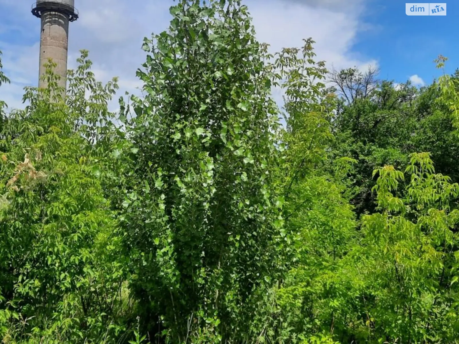 Сдается в аренду земельный участок 10.8574 соток в Кировоградской области, цена: 396501 грн - фото 1