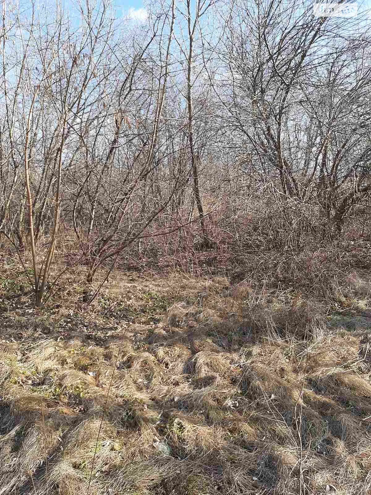 Сдается в аренду земельный участок 3.0245 соток в  области, цена: 331355 грн - фото 1