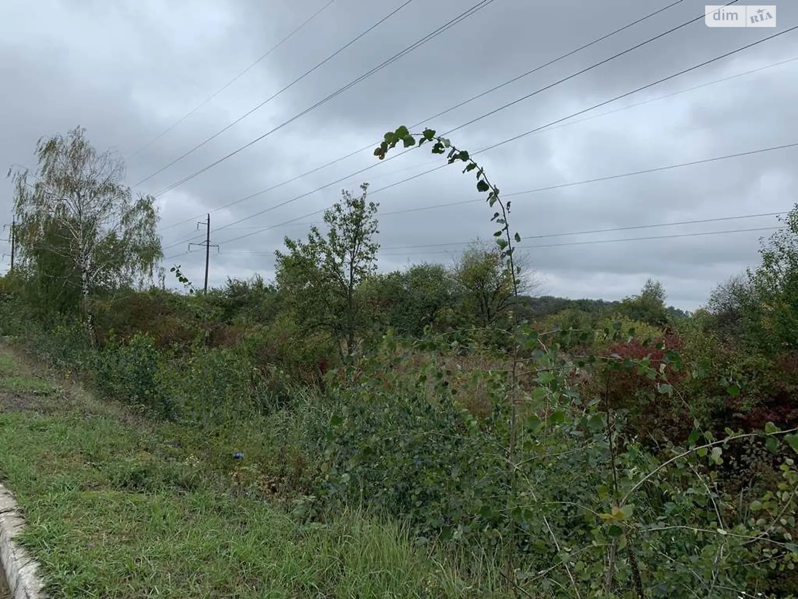 Сдается в аренду земельный участок 16.34 соток в Львовской области, цена: 1113181 грн - фото 1