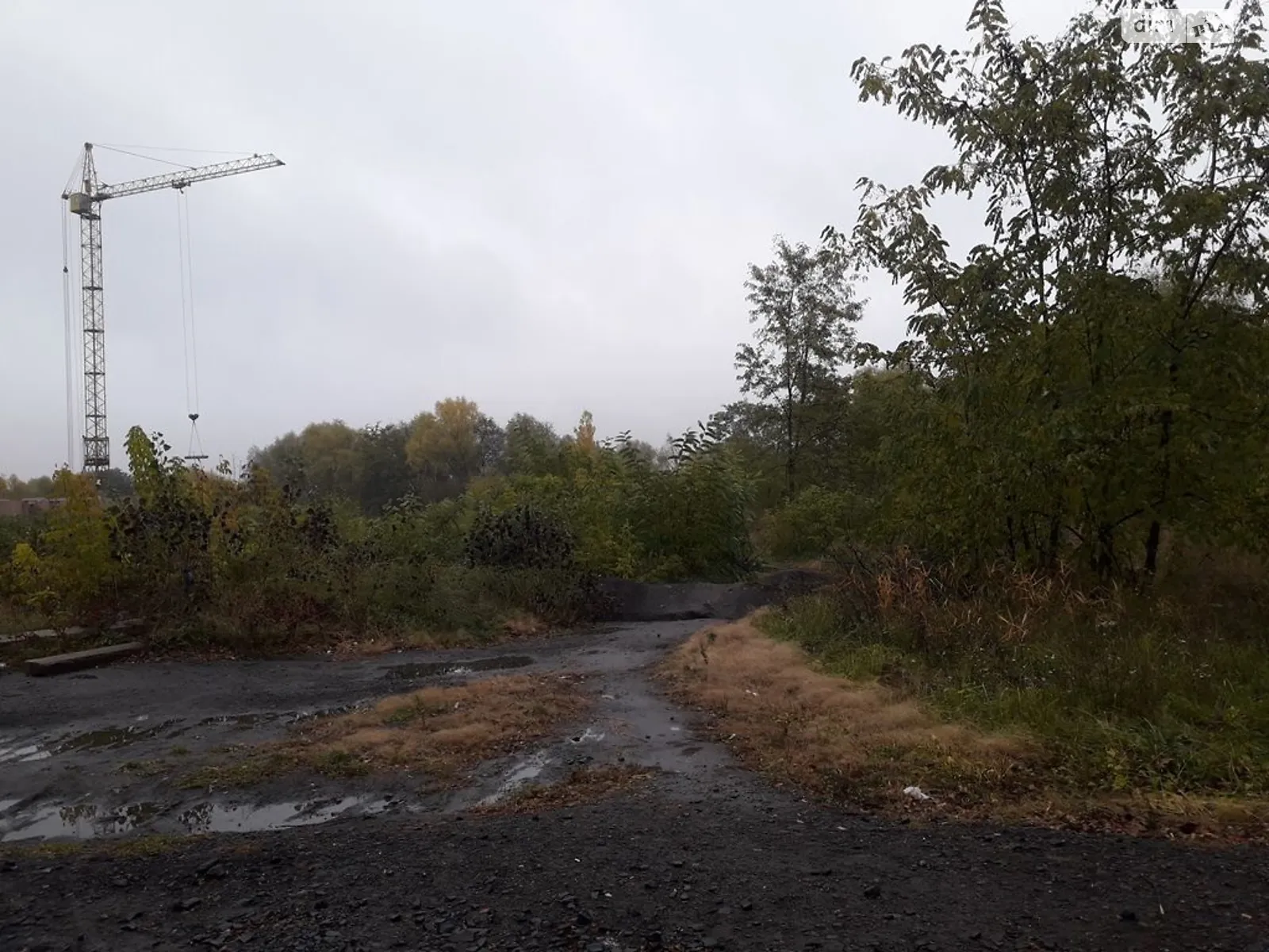 Сдается в аренду земельный участок 0.6542 соток в Львовской области, цена: 64327 грн - фото 1