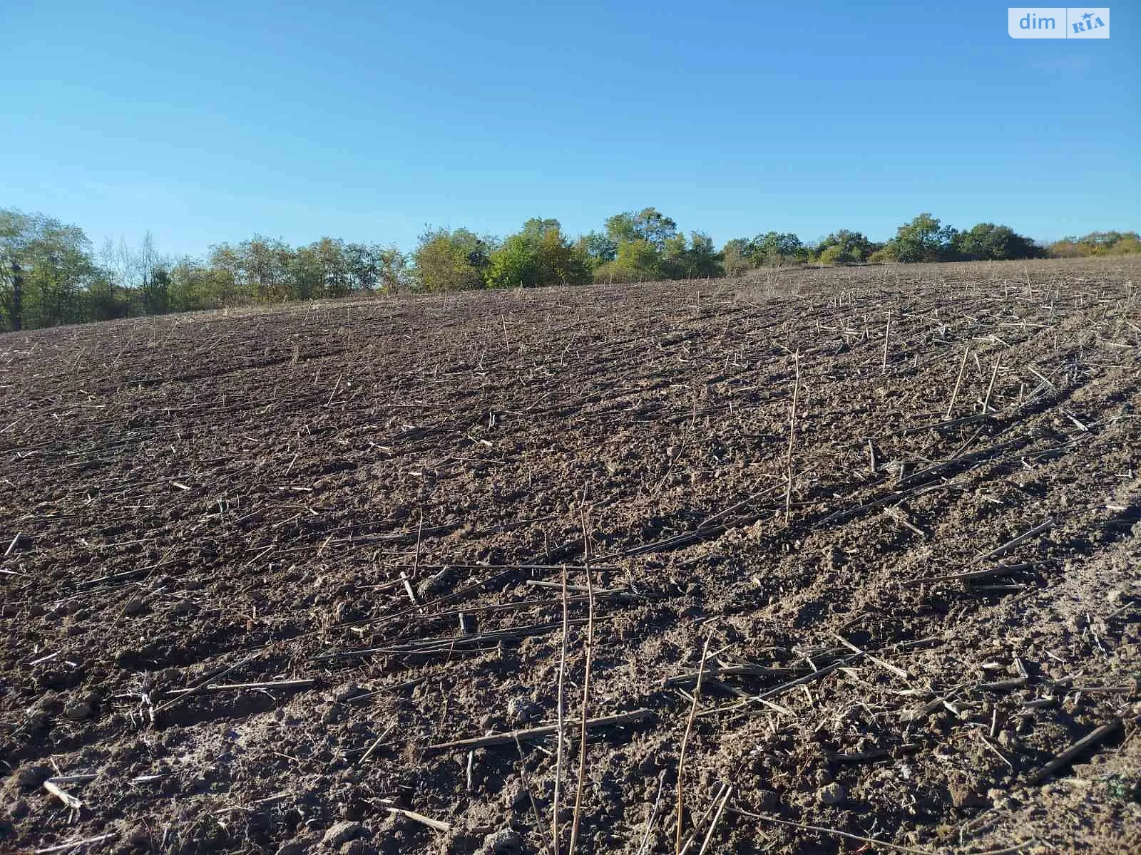 Калайдинцы, цена: 2986 грн - фото 1