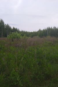 Сниму земельный участок в Житомире долгосрочно