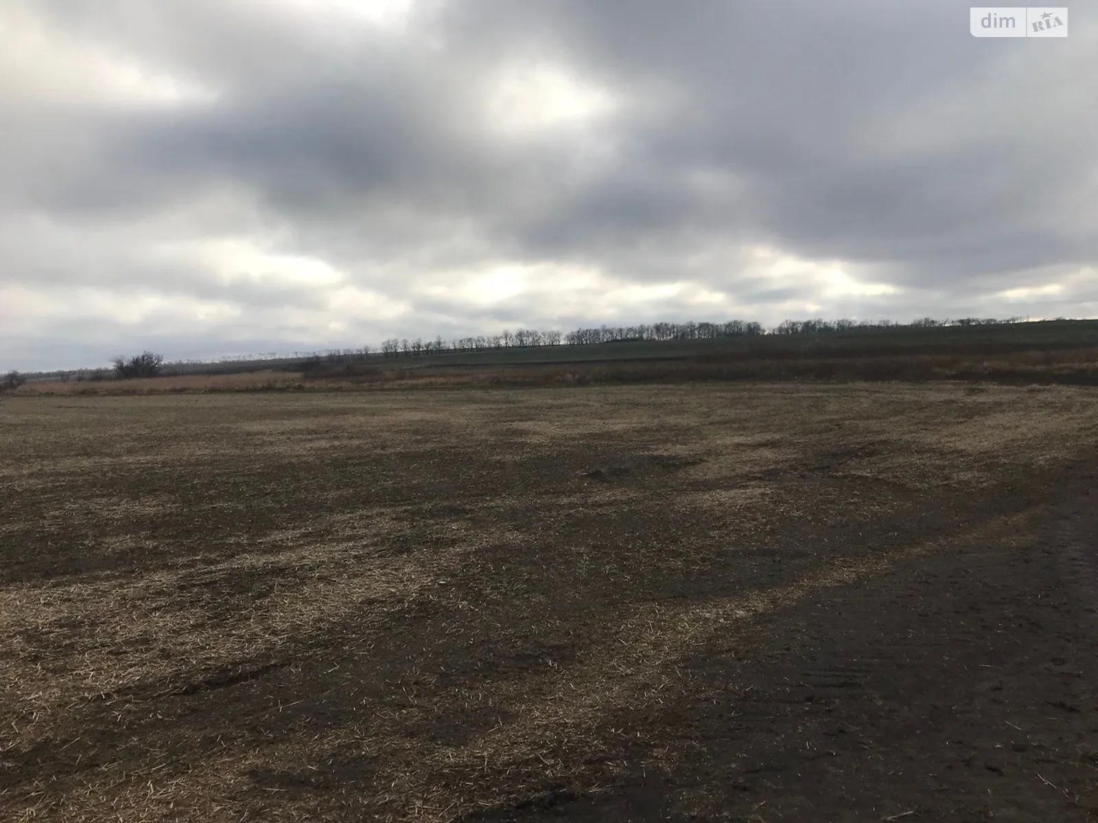 Сдается в аренду земельный участок 9.9352 соток в Днепропетровской области, цена: 39984 грн - фото 1