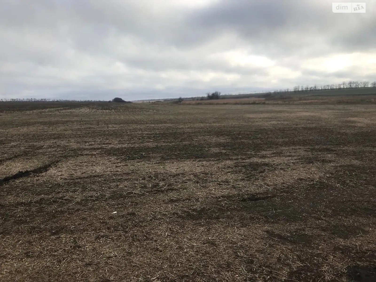 Сдается в аренду земельный участок 2.6989 соток в Днепропетровской области, цена: 11354 грн - фото 1
