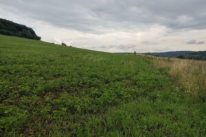 Аренда участков