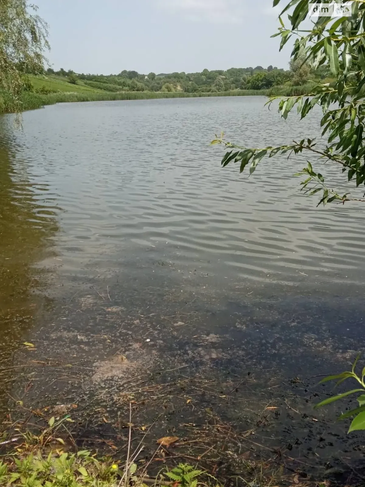 Сдается в аренду земельный участок 3.954 соток в Черкасской области, цена: 17465 грн - фото 1