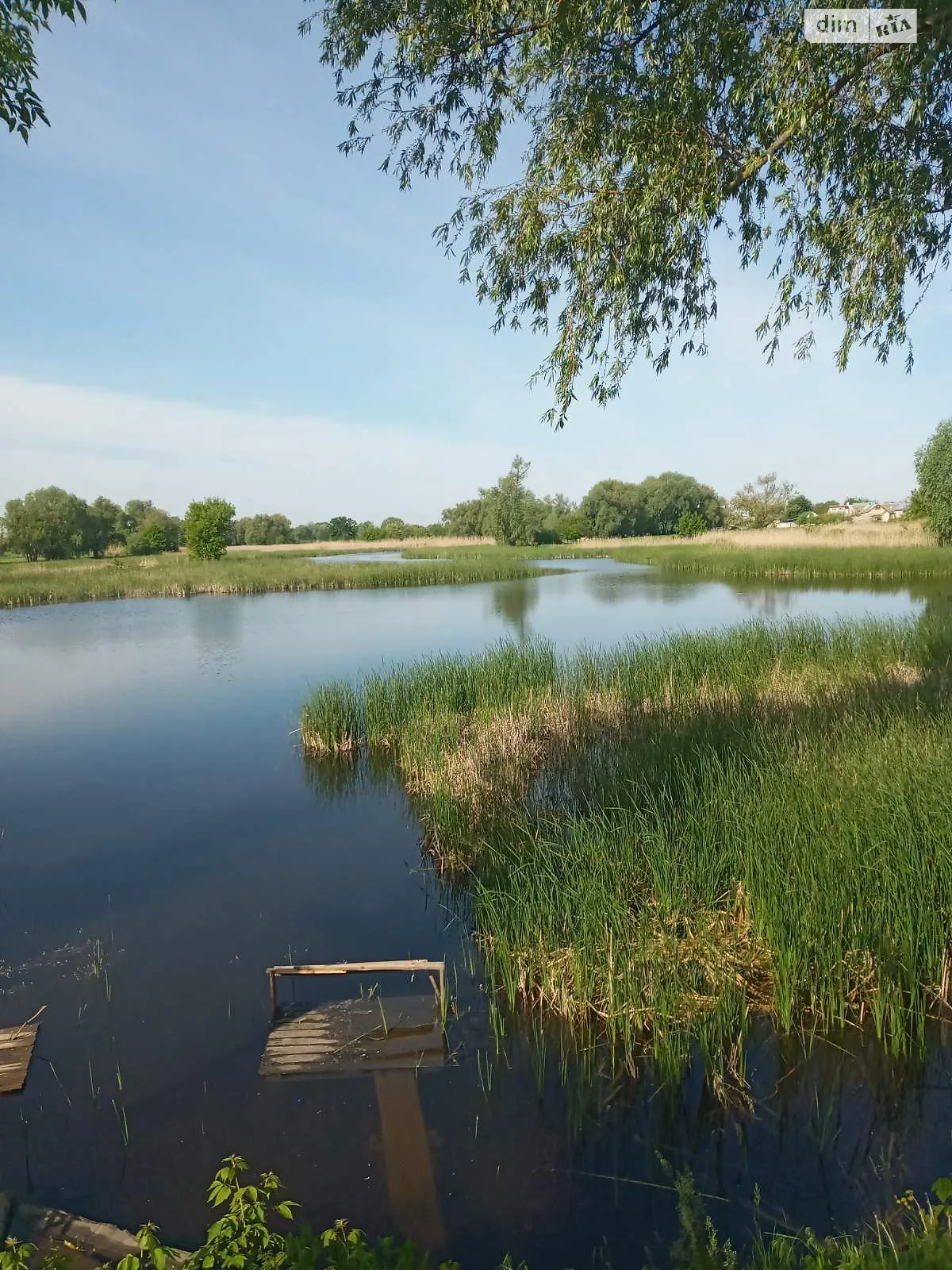 Сдается в аренду земельный участок 5.0162 соток в Черкасской области, цена: 17498 грн - фото 1