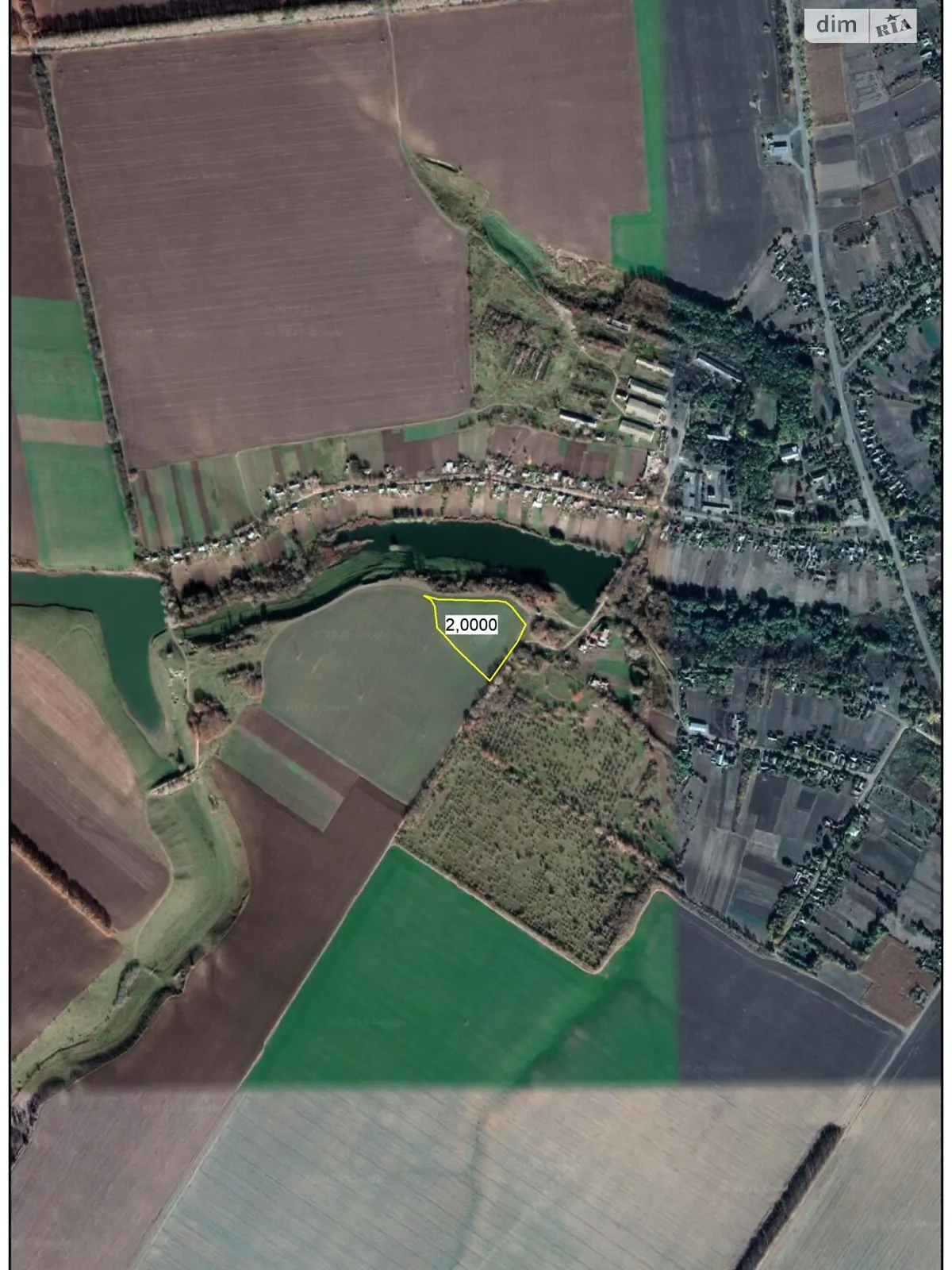 Конела, цена: 7585 грн - фото 1