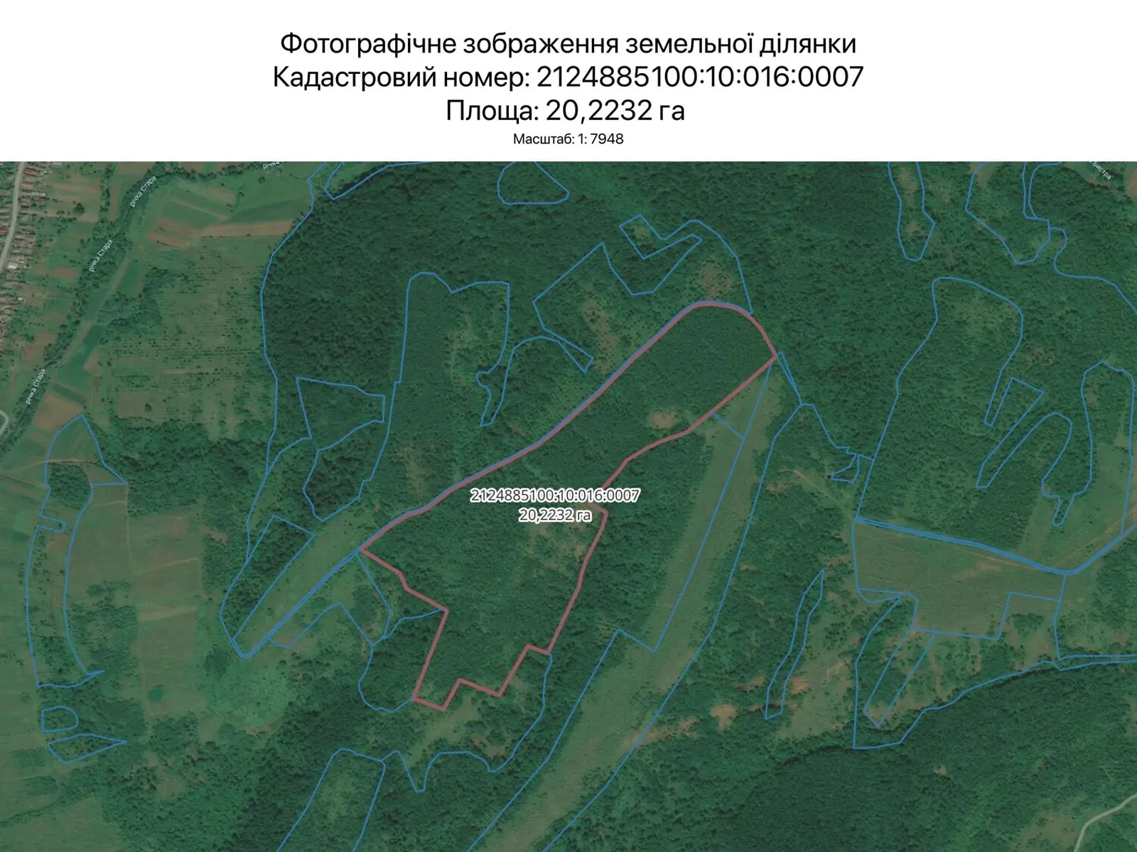 Сдается в аренду земельный участок 20.2232 соток в Закарпатской области, цена: 77894 грн - фото 1