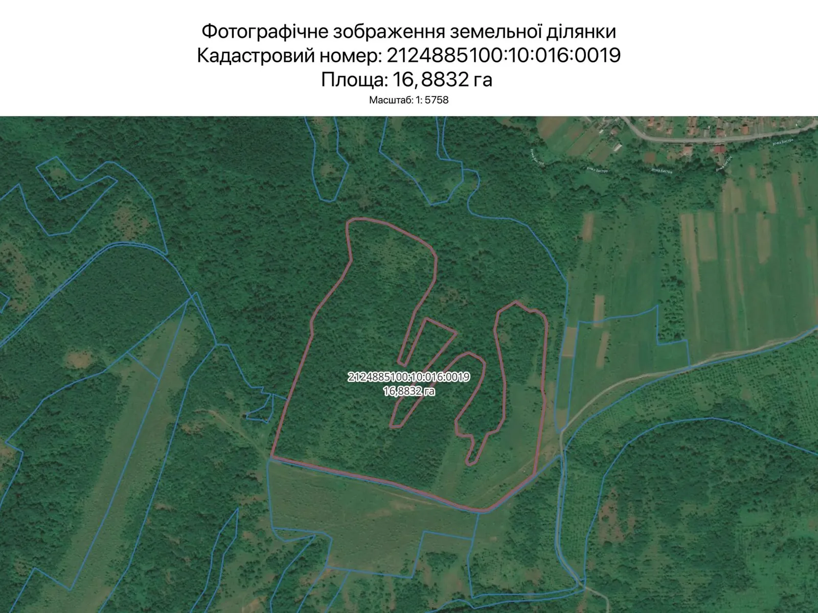 Сдается в аренду земельный участок 16.8832 соток в Закарпатской области, цена: 65029 грн - фото 1