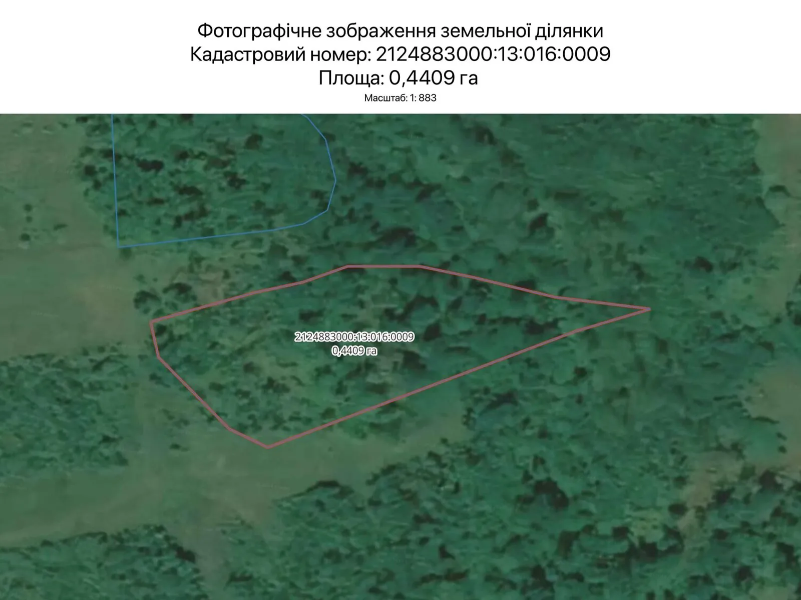 Сдается в аренду земельный участок 0.4409 соток в Закарпатской области, цена: 1361 грн - фото 1