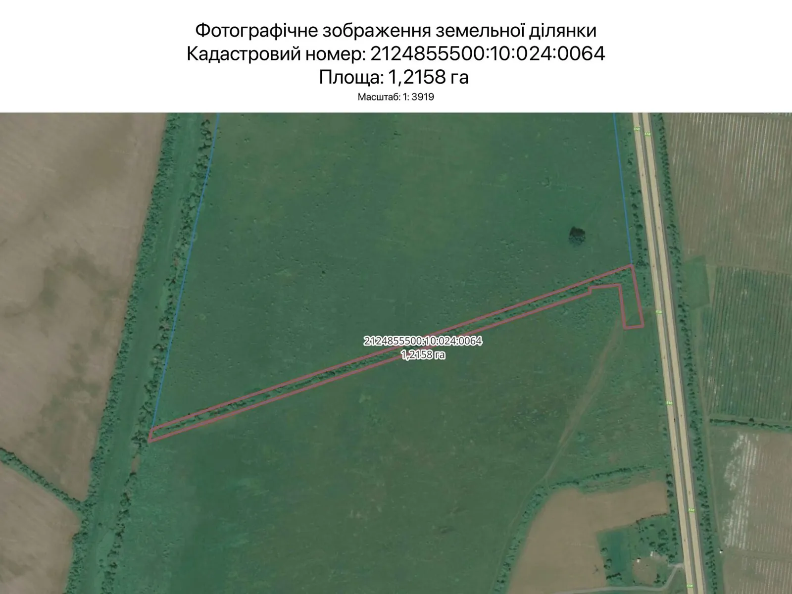 Сдается в аренду земельный участок 1.2158 соток в Закарпатской области, цена: 3956 грн - фото 1