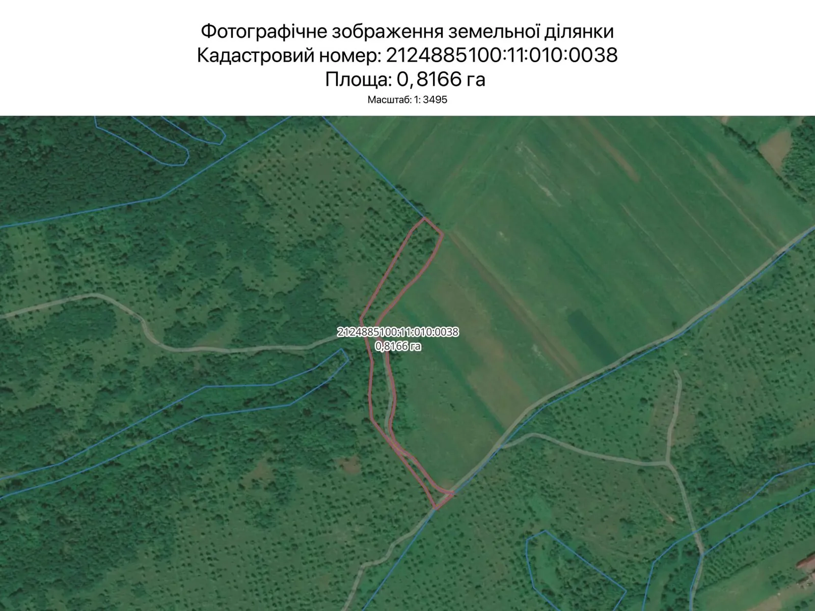 Сдается в аренду земельный участок 0.8166 соток в Закарпатской области, цена: 29455 грн - фото 1