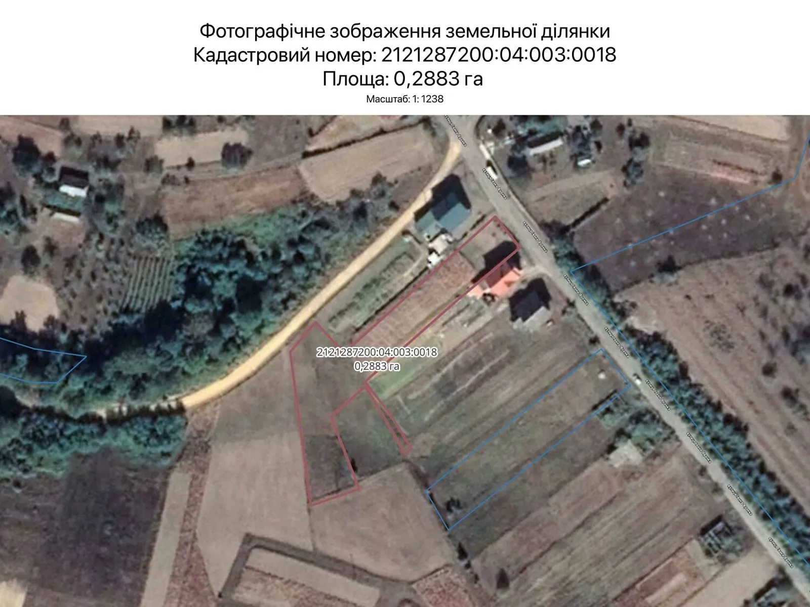 Сдается в аренду земельный участок 0.2883 соток в Закарпатской области, цена: 738 грн - фото 1