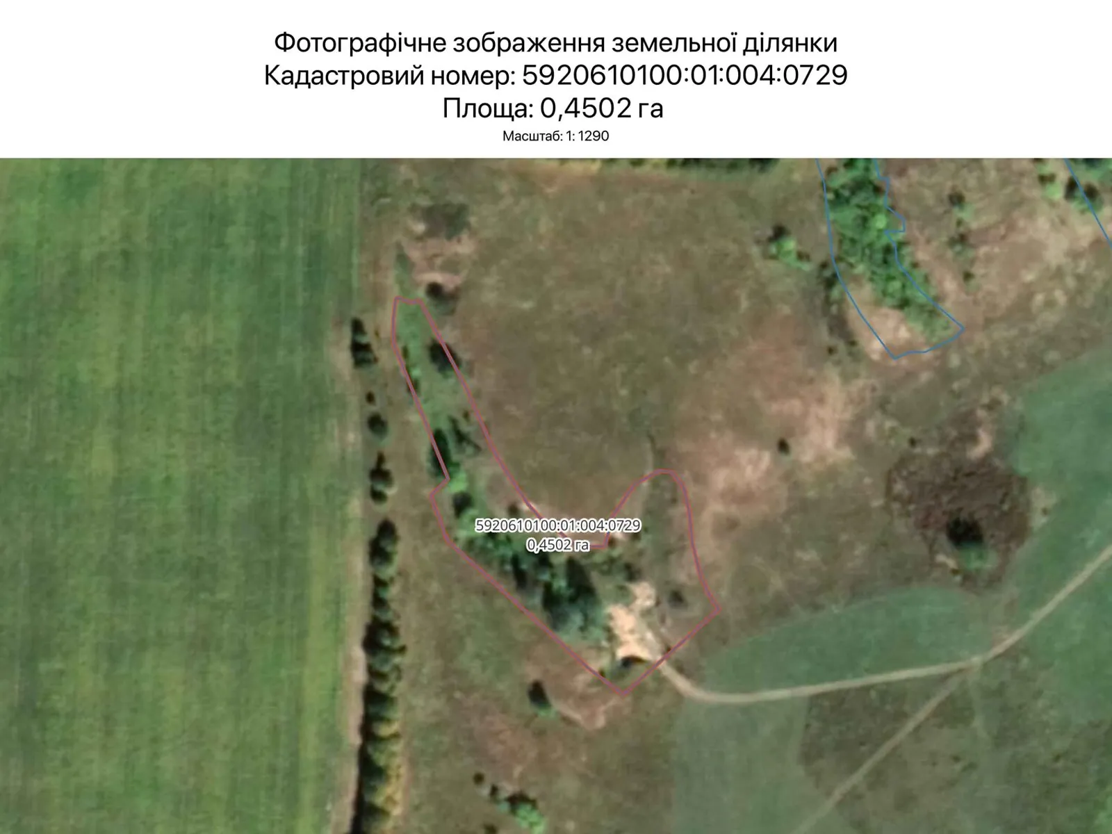 Сдается в аренду земельный участок 0.4502 соток в Сумской области, цена: 1833 грн - фото 1