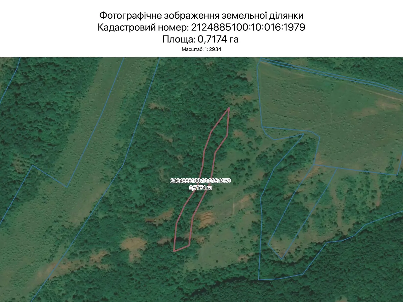 Сдается в аренду земельный участок 0.7174 соток в Закарпатской области, цена: 2763 грн - фото 1