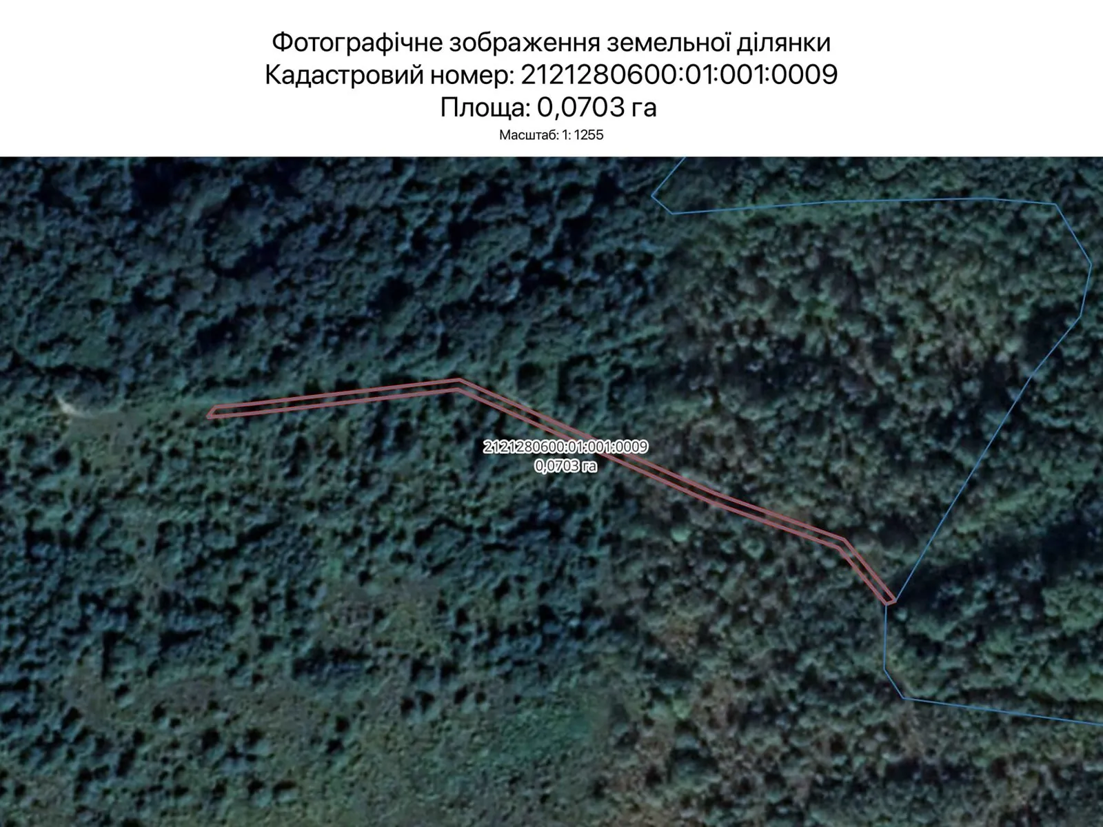 Сдается в аренду земельный участок 0.0703 соток в Закарпатской области, цена: 217 грн - фото 1