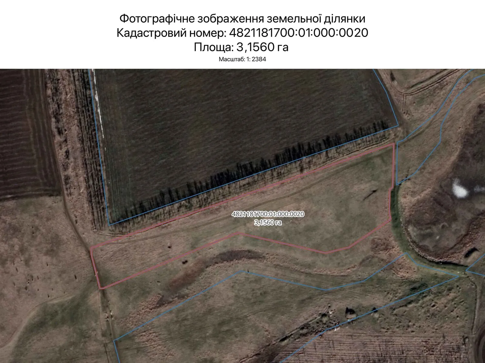 Сдается в аренду земельный участок 3.156 соток в  области, цена: 3901 грн - фото 1