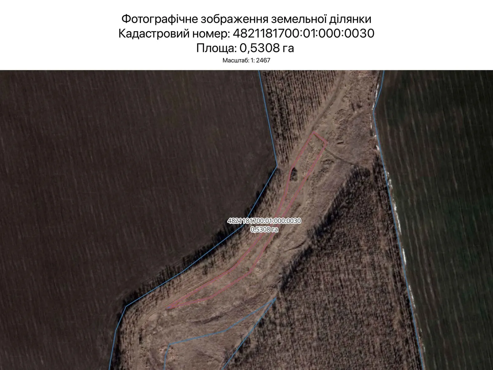 Сдается в аренду земельный участок 0.5308 соток в  области, цена: 500 грн - фото 1