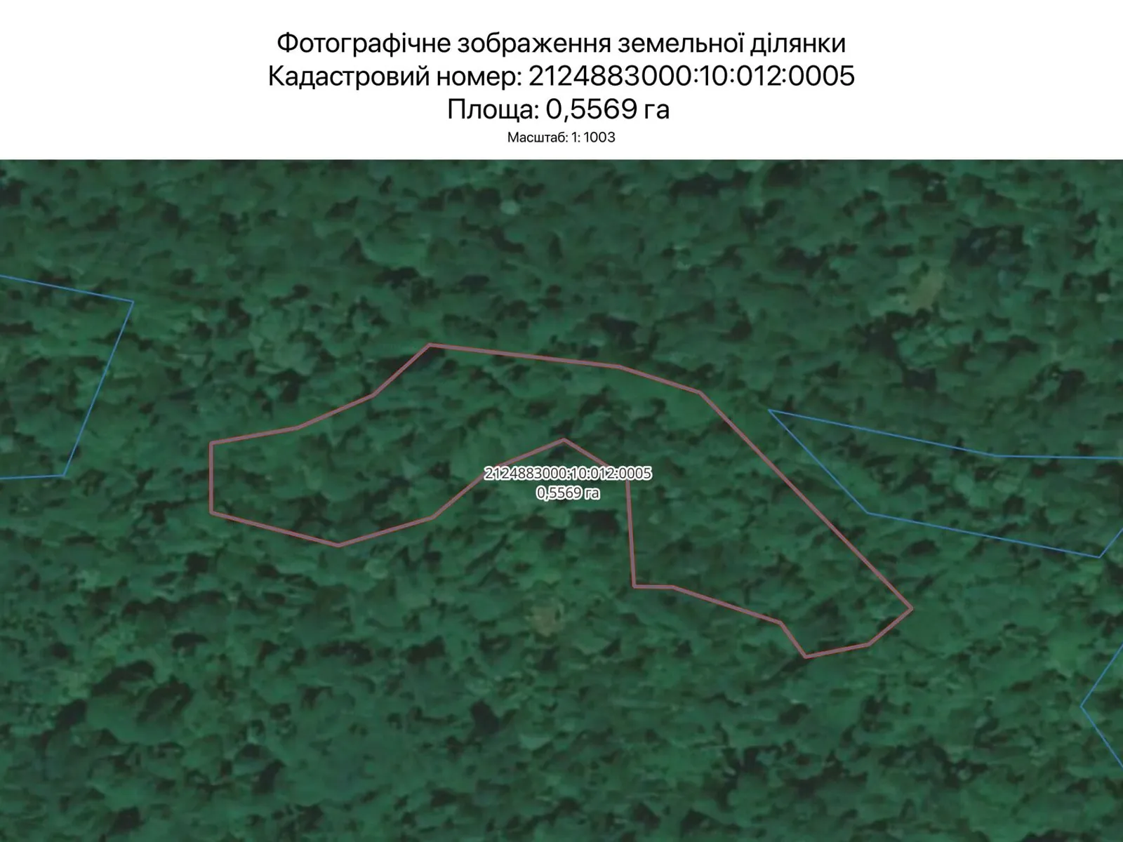 Сдается в аренду земельный участок 0.5569 соток в Закарпатской области, цена: 291 грн - фото 1