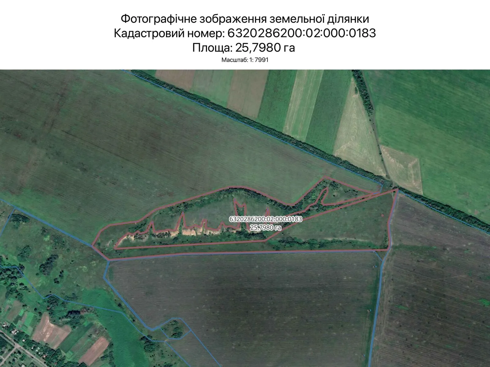 Сдается в аренду земельный участок 25.798 соток в Харьковской области, цена: 30966 грн - фото 1