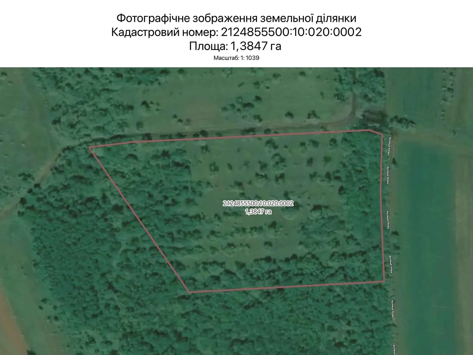 Сдается в аренду земельный участок 1.3847 соток в Закарпатской области, цена: 5298 грн - фото 1