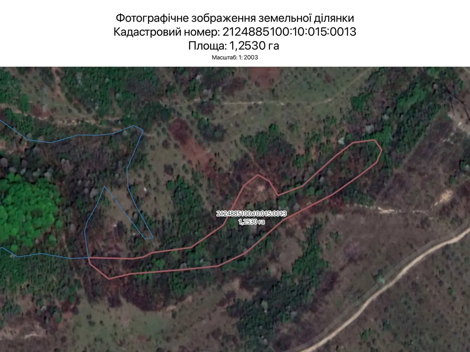 Сдается в аренду земельный участок 1.253 соток в Закарпатской области, цена: 4826 грн - фото 1