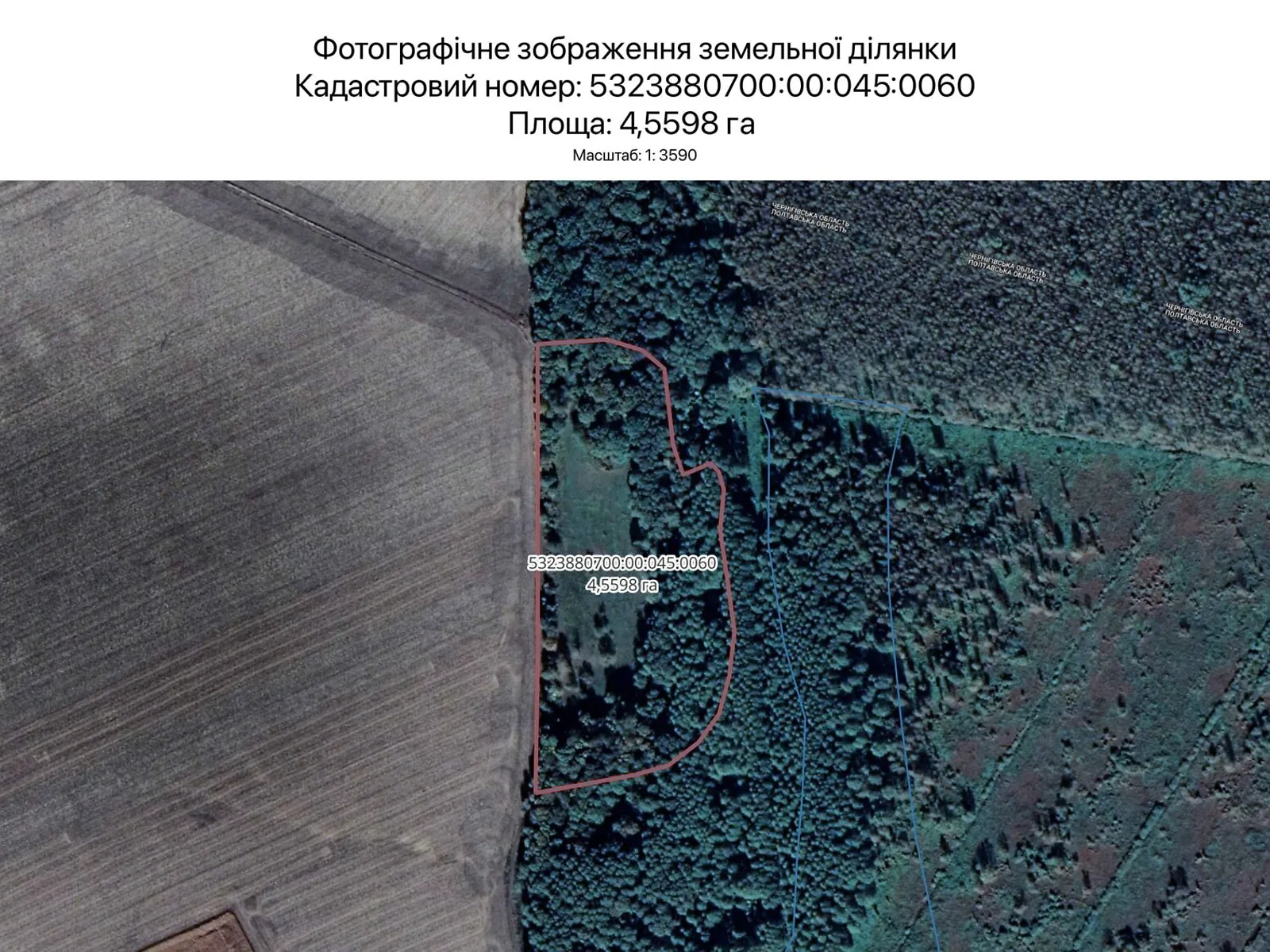 Сдается в аренду земельный участок 4.5598 соток в Полтавской области, цена: 3330 грн - фото 1