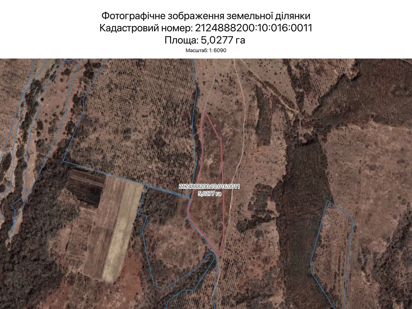 Сдается в аренду земельный участок 5.0277 соток в Закарпатской области, цена: 2589 грн - фото 1