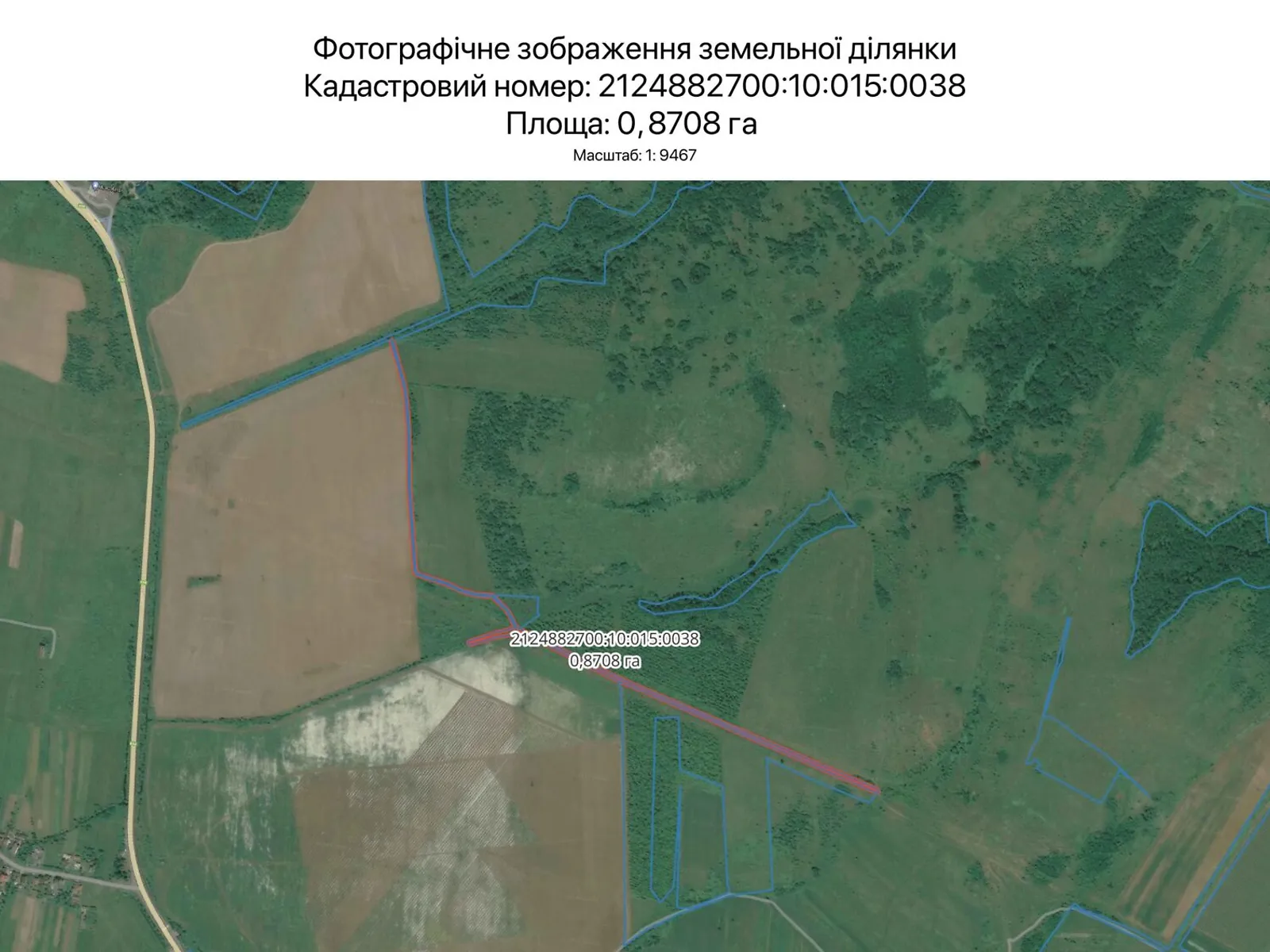 Сдается в аренду земельный участок 0.8708 соток в Закарпатской области, цена: 2851 грн - фото 1
