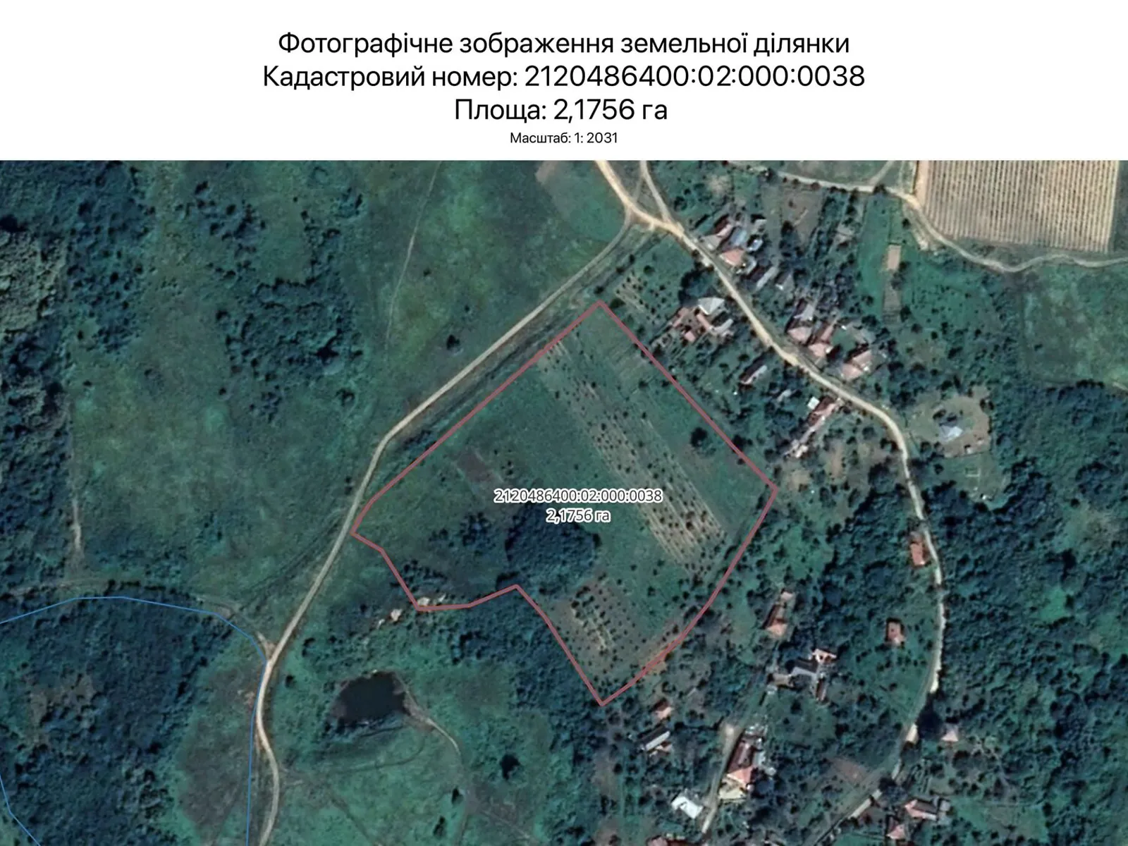 Сдается в аренду земельный участок 2.1756 соток в Закарпатской области, цена: 2600 грн - фото 1