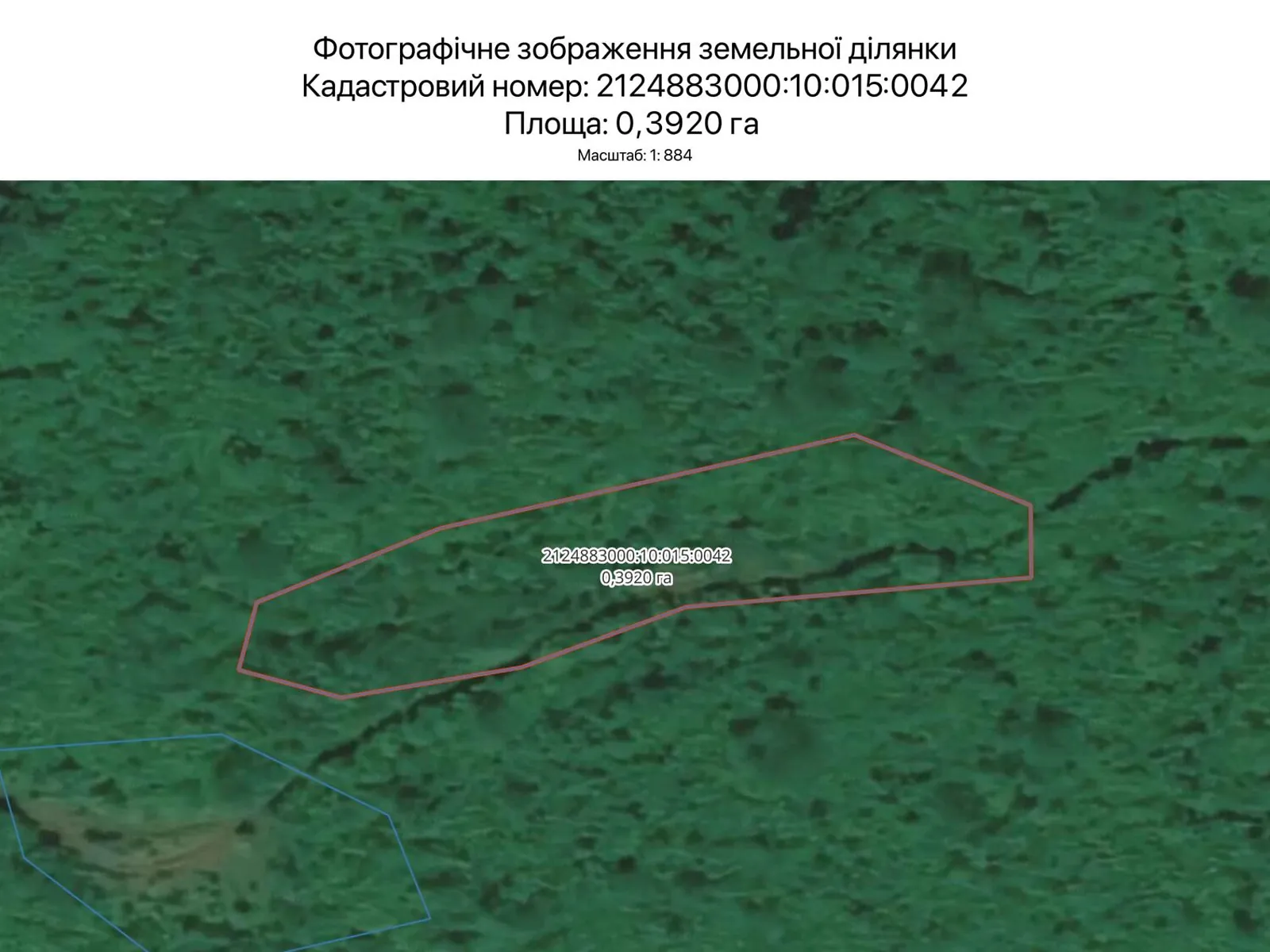 Здається в оренду земельна ділянка 0.392 соток у Закарпатській області, цена: 204 грн - фото 1
