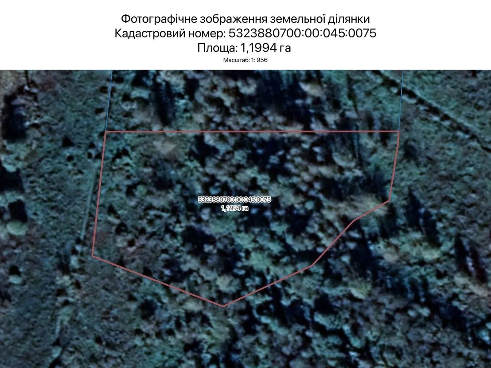 Сдается в аренду земельный участок 1.1994 соток в  области, цена: 6019 грн - фото 1