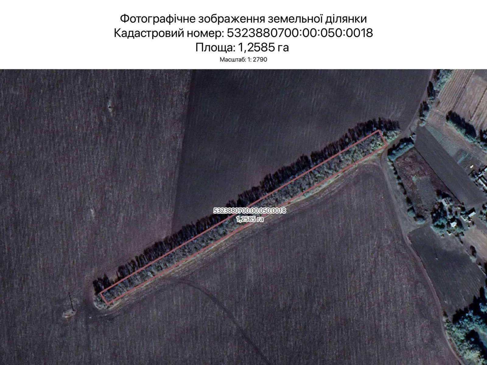 Сдается в аренду земельный участок 1.2585 соток в  области, цена: 6316 грн - фото 1