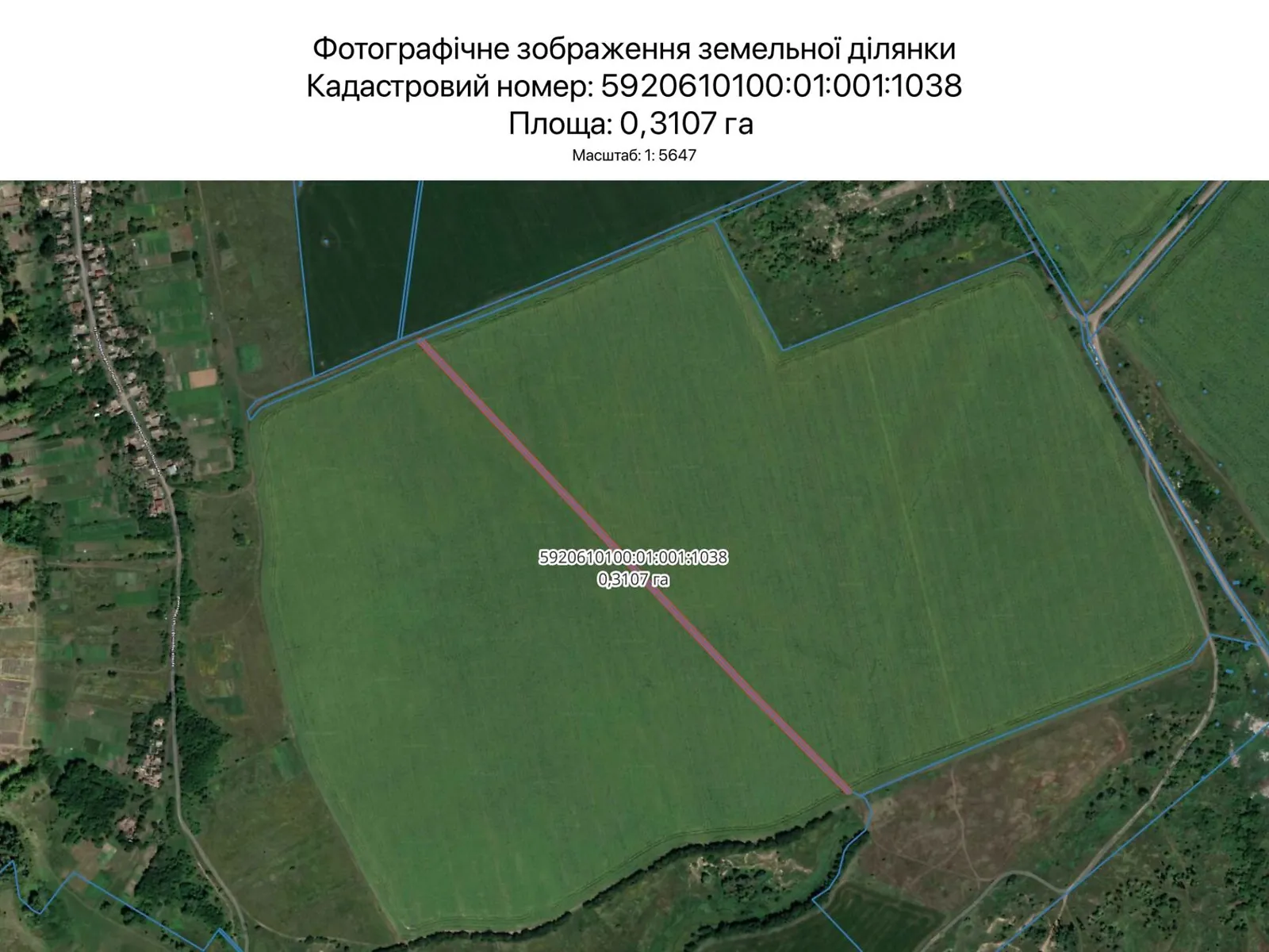 Сумы, цена: 1265 грн - фото 1