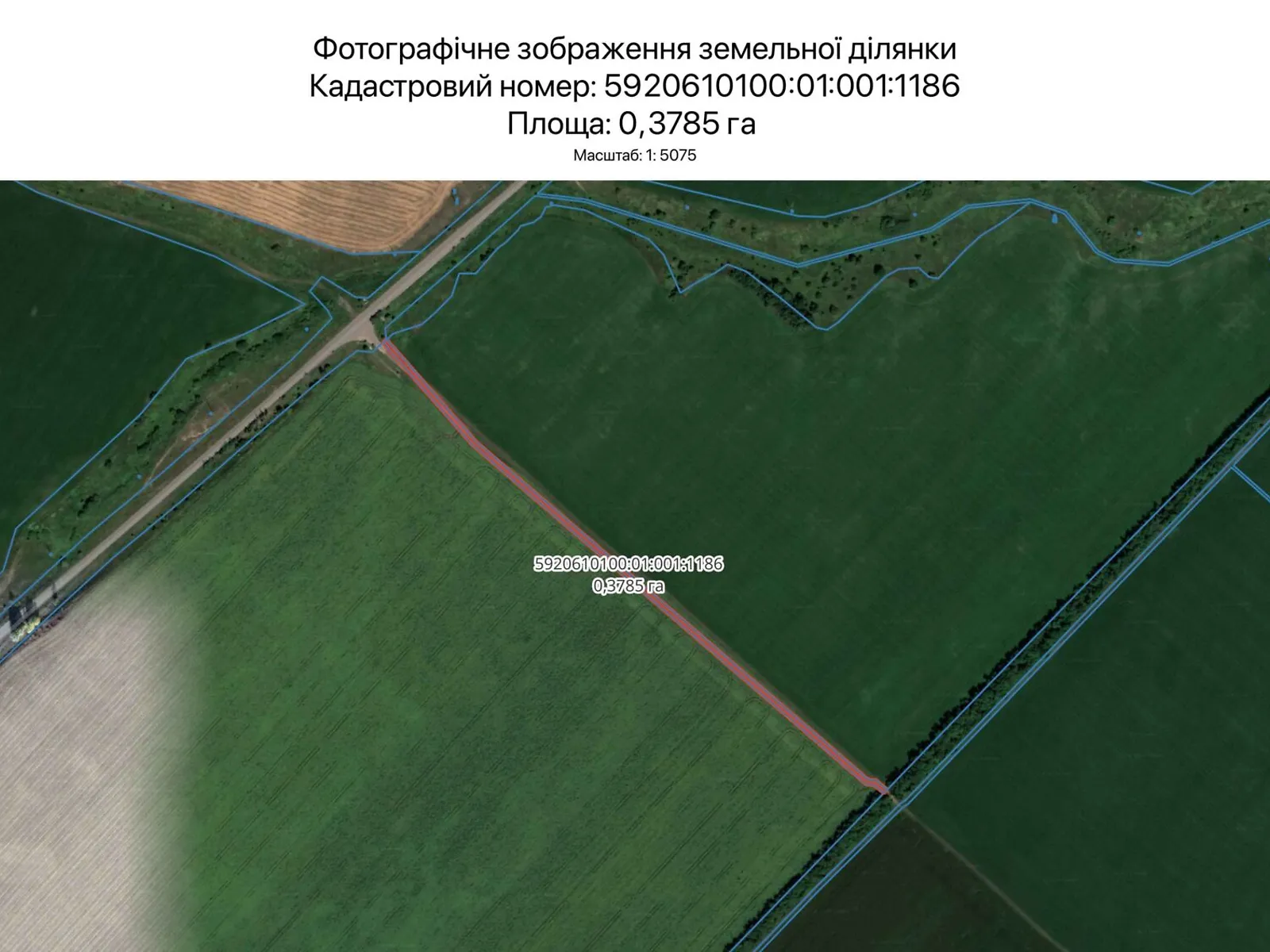 Сумы, цена: 1541 грн - фото 1