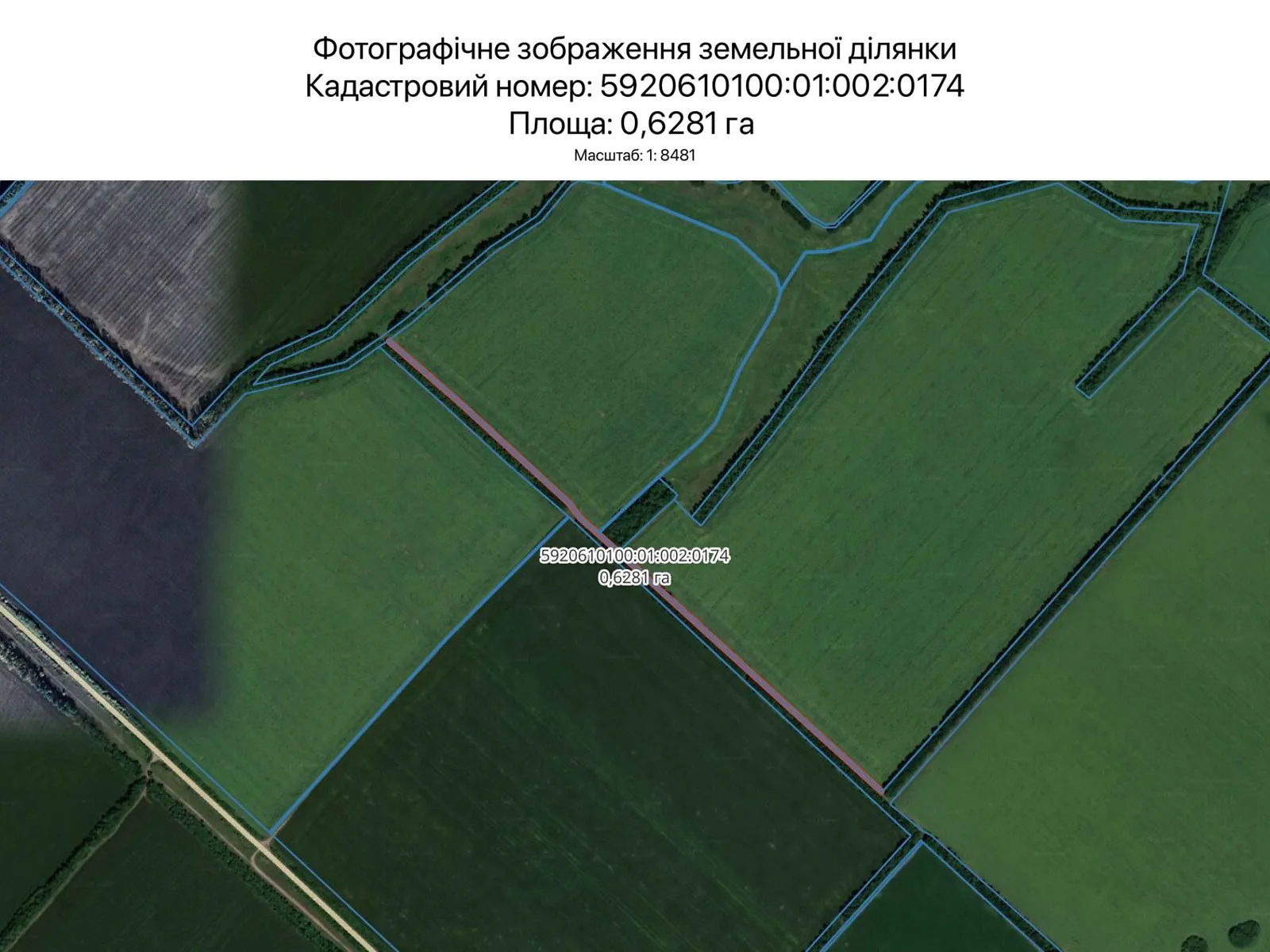 Здається в оренду земельна ділянка 0.6281 соток у Сумській області, цена: 2558 грн - фото 1
