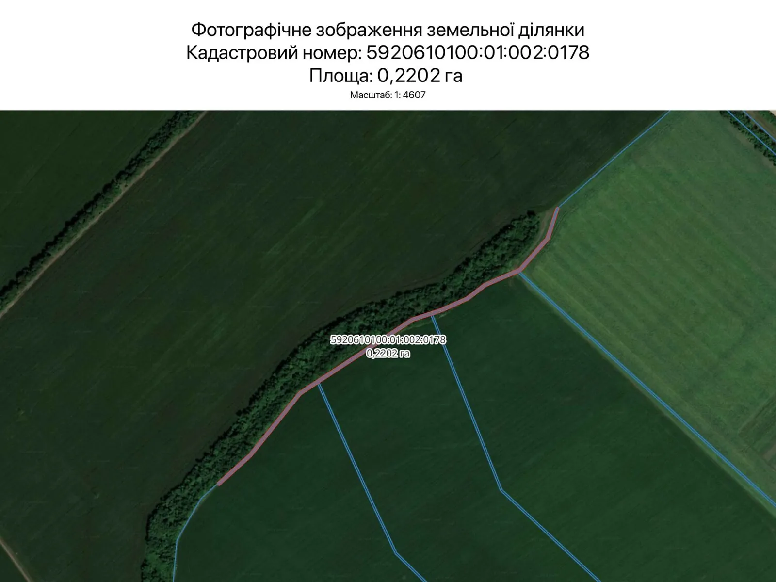 Здається в оренду земельна ділянка 0.2202 соток у Сумській області, цена: 896 грн - фото 1