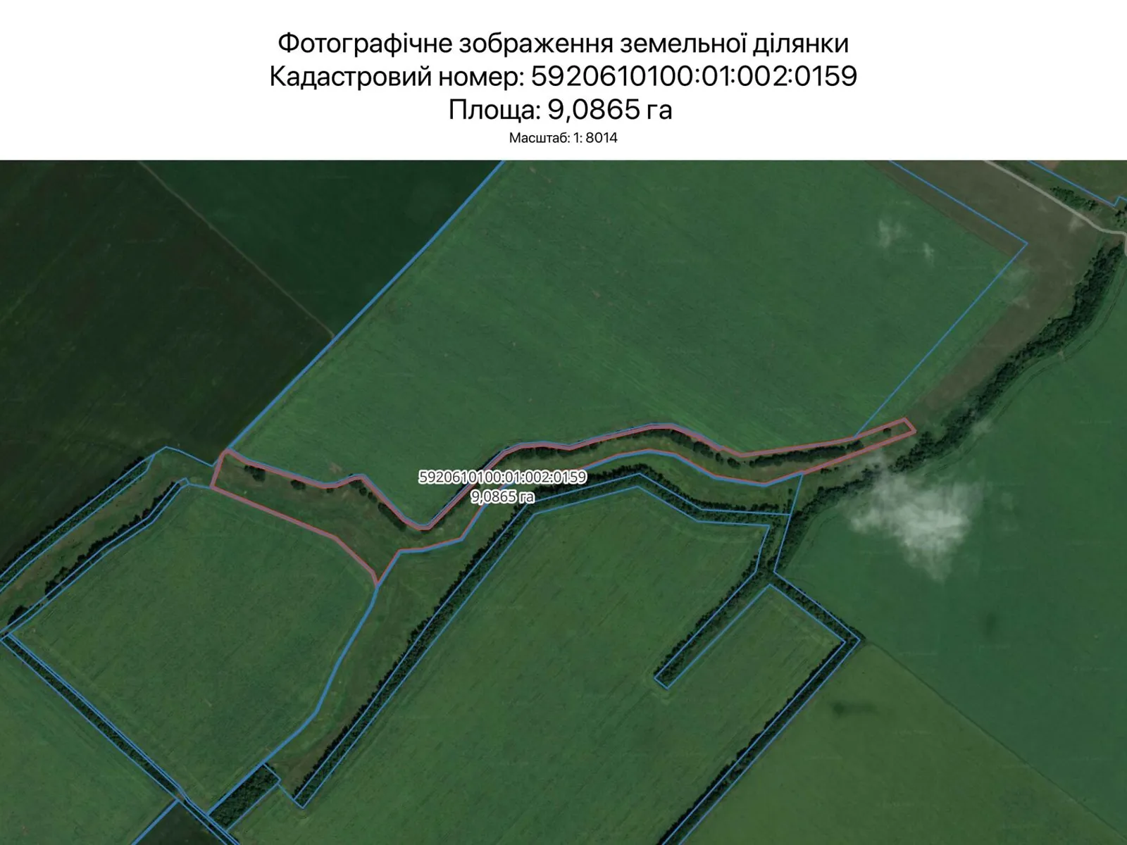 Здається в оренду земельна ділянка 9.0865 соток у Сумській області, цена: 10063 грн - фото 1