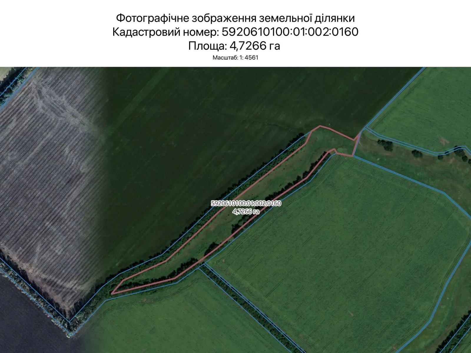 Здається в оренду земельна ділянка 4.7266 соток у Сумській області, цена: 4872 грн - фото 1