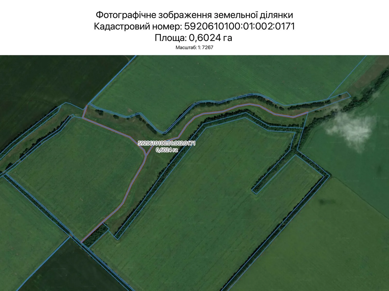 Здається в оренду земельна ділянка 0.6024 соток у Сумській області, цена: 2453 грн - фото 1