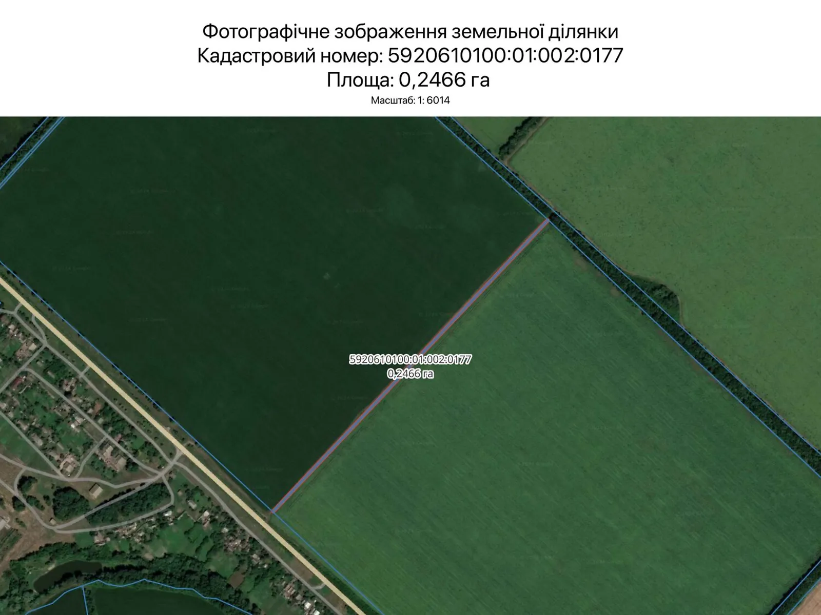 Здається в оренду земельна ділянка 0.2466 соток у Сумській області, цена: 1004 грн - фото 1