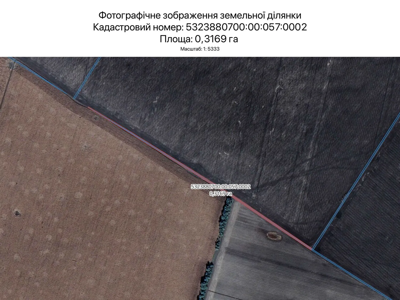 Сдается в аренду земельный участок 0.3169 соток в  области, цена: 1590 грн - фото 1