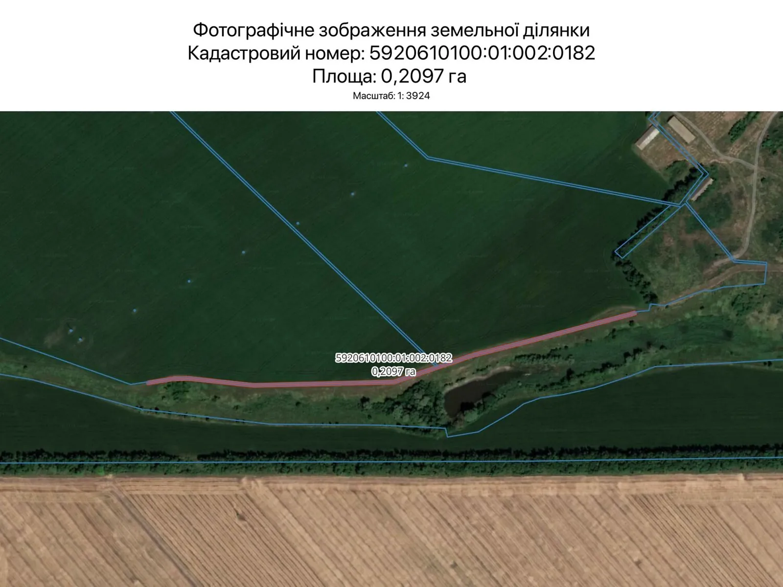 Сдается в аренду земельный участок 0.2097 соток в Сумской области, цена: 853 грн - фото 1